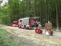 Maibaum_2018 (3)